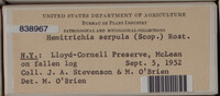 Image Associated With the Occurence